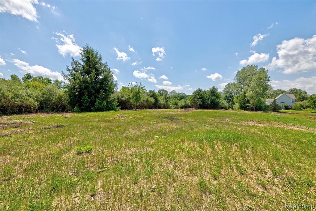 Vacant Land Brandt Road, Ortonville, MI 48462 — Photo 23