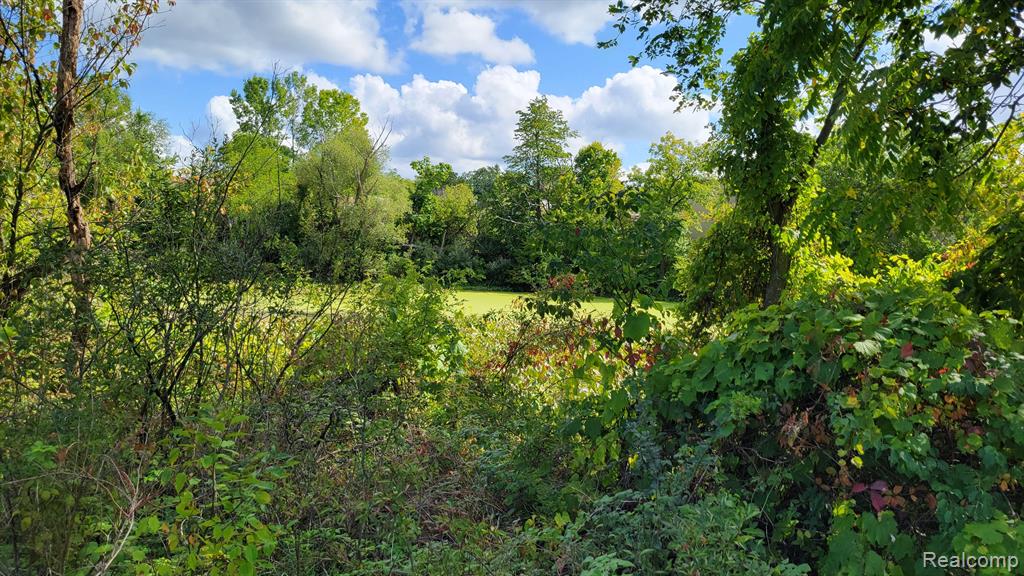427 N STEER Street, Addison, MI 49220 — Photo 33