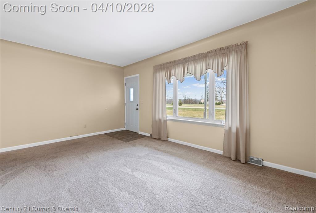 3518 Lightle Road, Clyde, MI 48049 — Photo 7