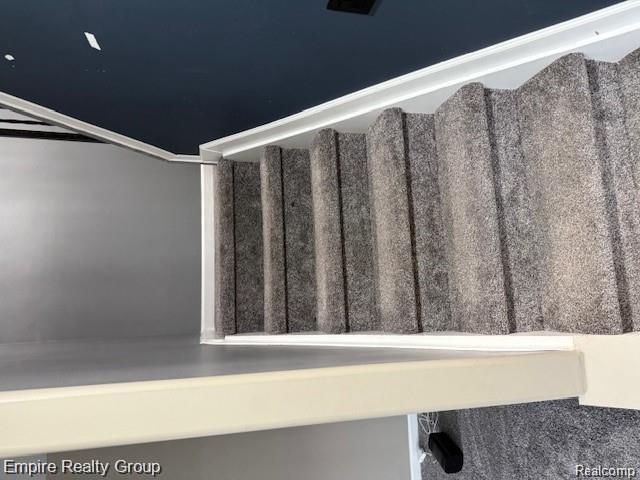 20002 Great Oaks Circle South, Clinton Twp, MI 48036 — Photo 29