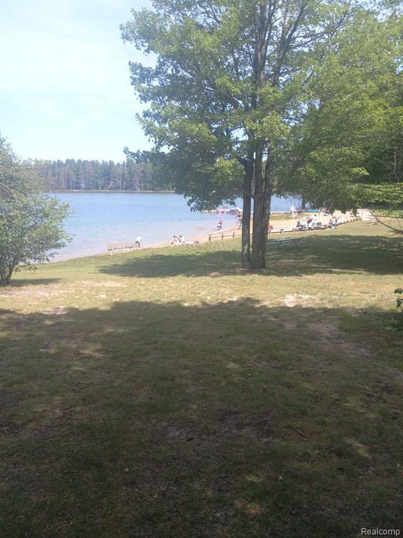 Land 99 Breezewood Drive, Mancelona, MI 49659 — Photo 6