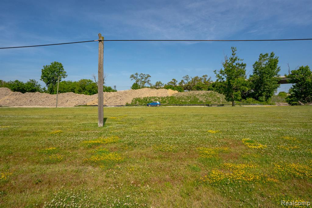 769 S Liddesdale Street, Detroit, MI 48217 — Photo 2