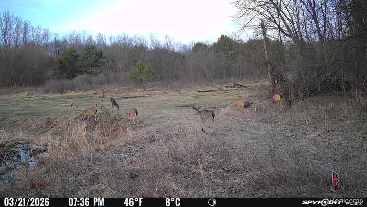 VL Washington Street, Perry, MI 48872 — Photo 26