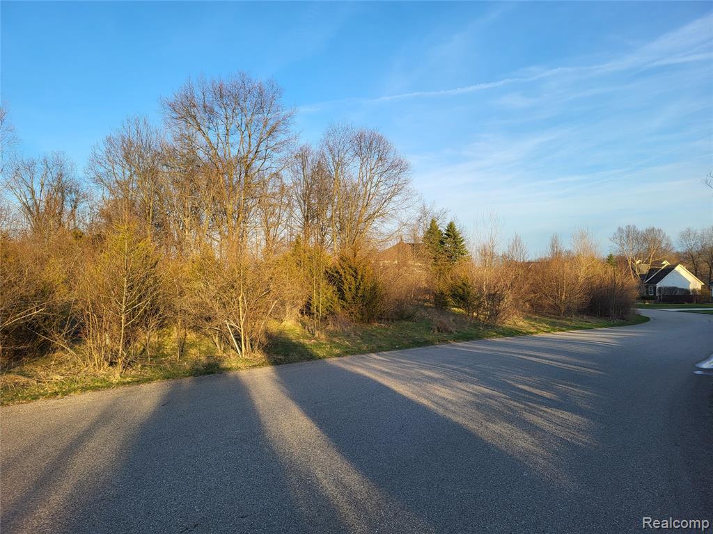 TBD Parcel B Olivia Drive, Milford, MI 48380 — Photo 3
