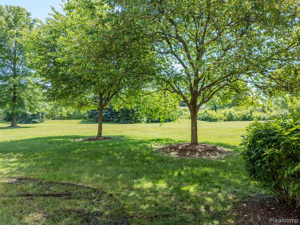 46254 CAVALIER Drive, Macomb, MI 48044 — Photo 42