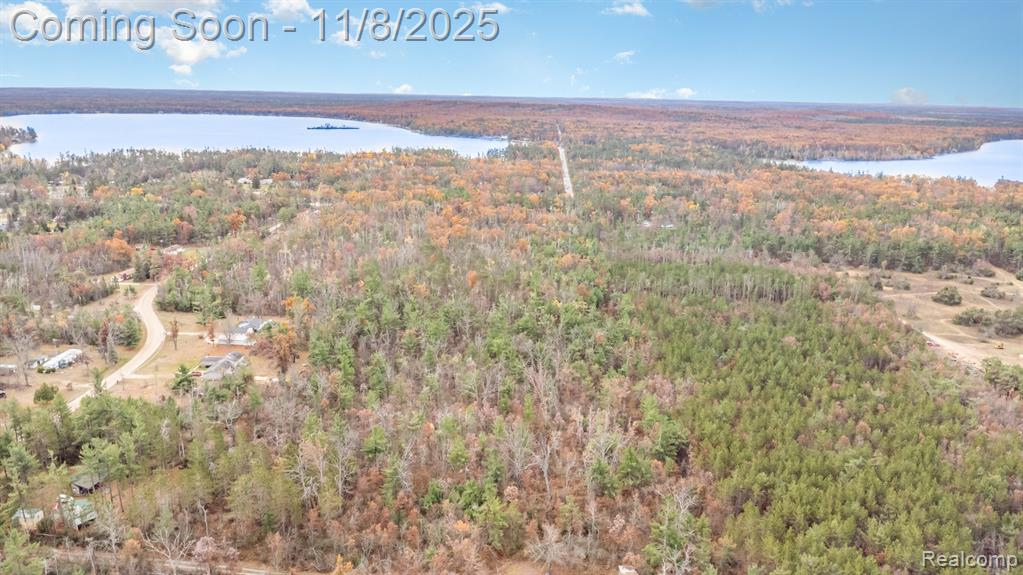 3506 County Road 612, Lewiston, MI 49756 — Photo 20