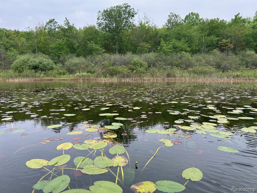 640 Sunset, White Lake, MI 48383 — Photo 10