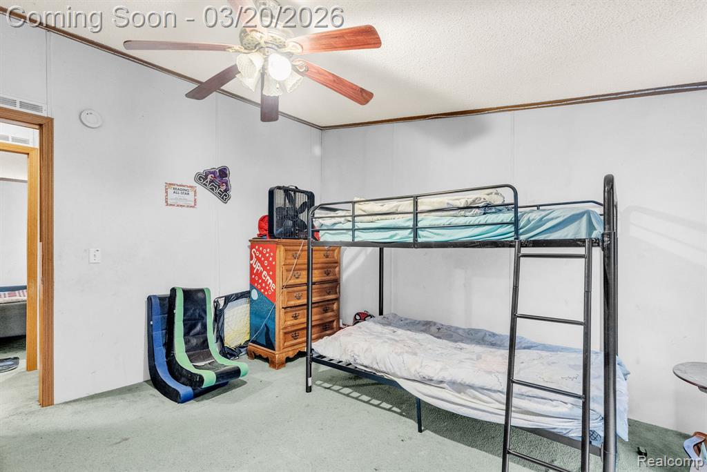 7151 Martin Road, Imlay City, MI 48444 — Photo 21