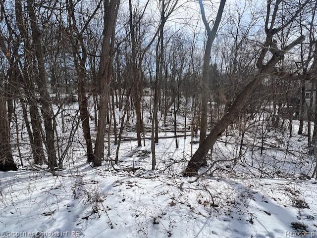 439 Alberta Street Lot 80, Auburn Hills, MI 48326 — front exterior