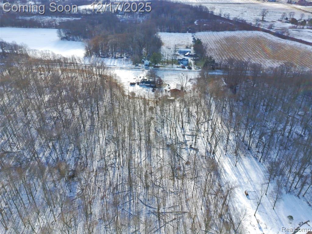 4870 W Samaria Road, Temperance, MI 48182 — Photo 25