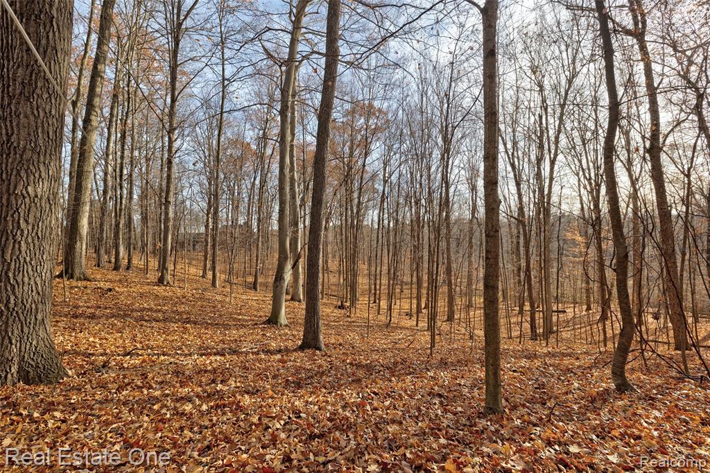 509 Bluebird Trail, Ortonville, MI 48462 — Photo 88