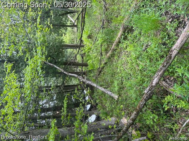 4148 Blue Vista Drive, Evart, MI 49631 — Photo 25