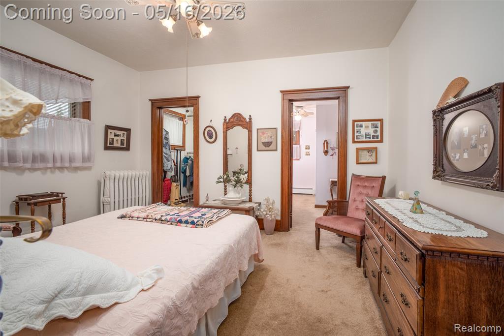207 N Pine River Street, Ithaca, MI 48847 — Photo 17
