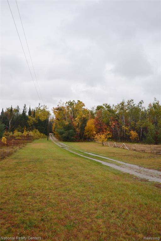 16852 Hayes Road, Hillman, MI 49746 — Photo 2