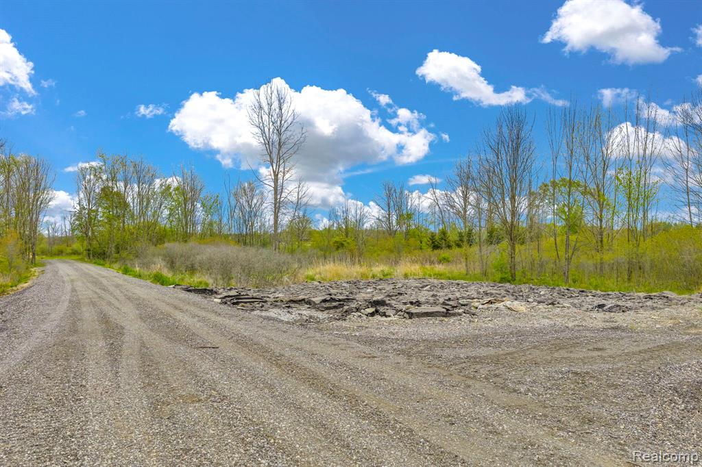 0 Martin Road, Avoca, MI 48014 — Photo 10