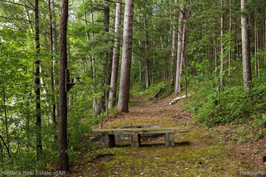 7643 K P LAKE ROAD, Grayling, MI 49738 — Photo 42