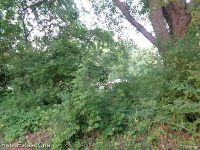 14549 DACOSTA Street, Detroit, MI 48223 — Photo 5