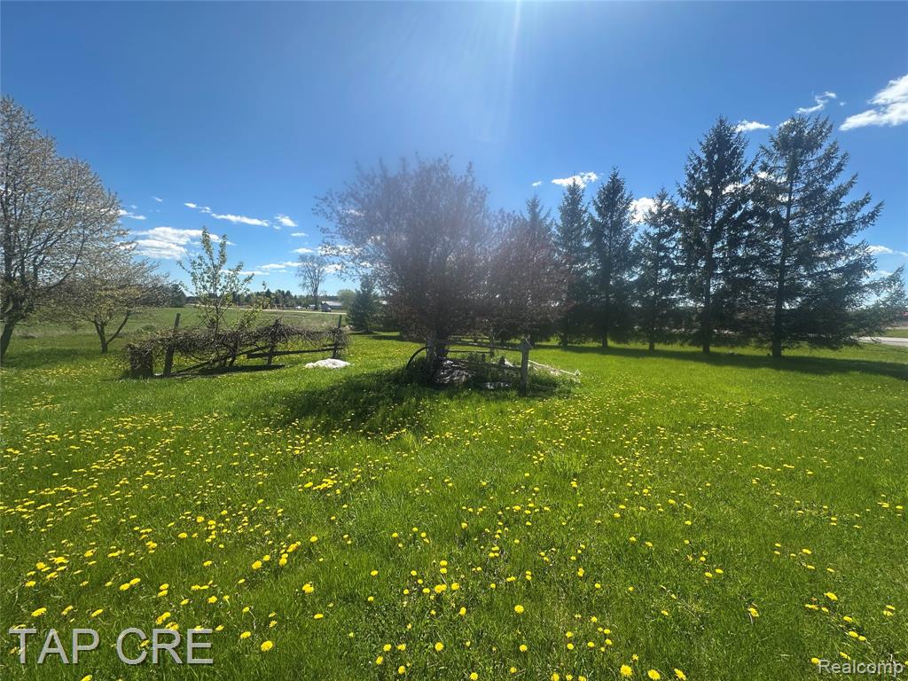 2273 S M 65 Highway, Whittemore, MI 48770 — Photo 6