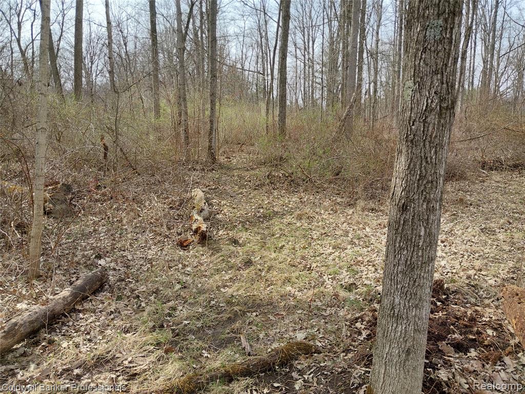 VL Rattle Run Road, St. Clair, MI 48079 — Photo 17
