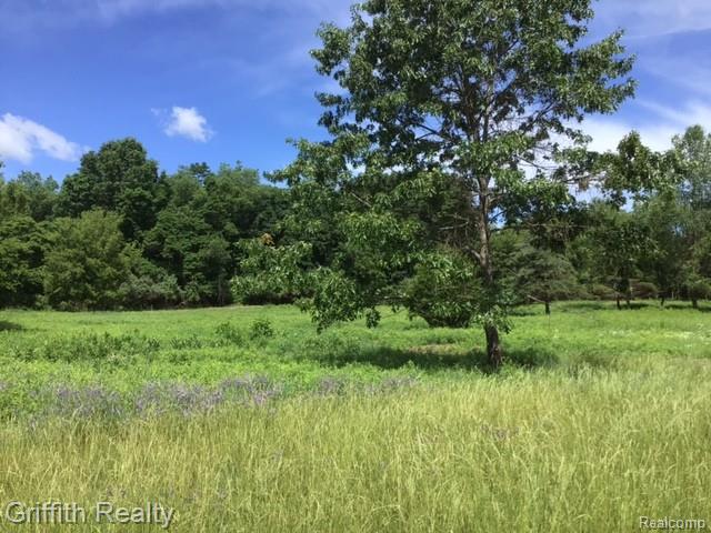 Parcel 1 E Coon Lake Road, Howell, MI 48843 — Photo 2