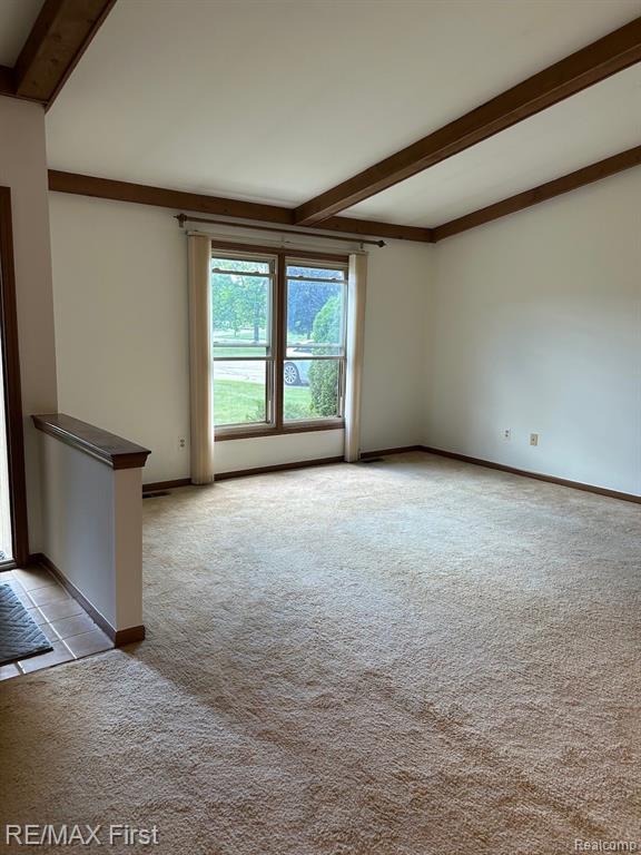 43719 Hartford Drive, 334, Clinton Twp, MI 48038 — Photo 4