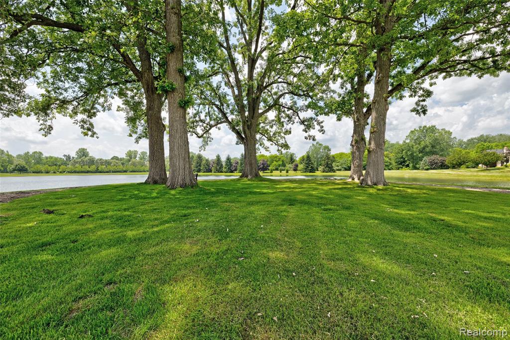28545 Cottage Lane, New Hudson, MI 48165 — Photo 73