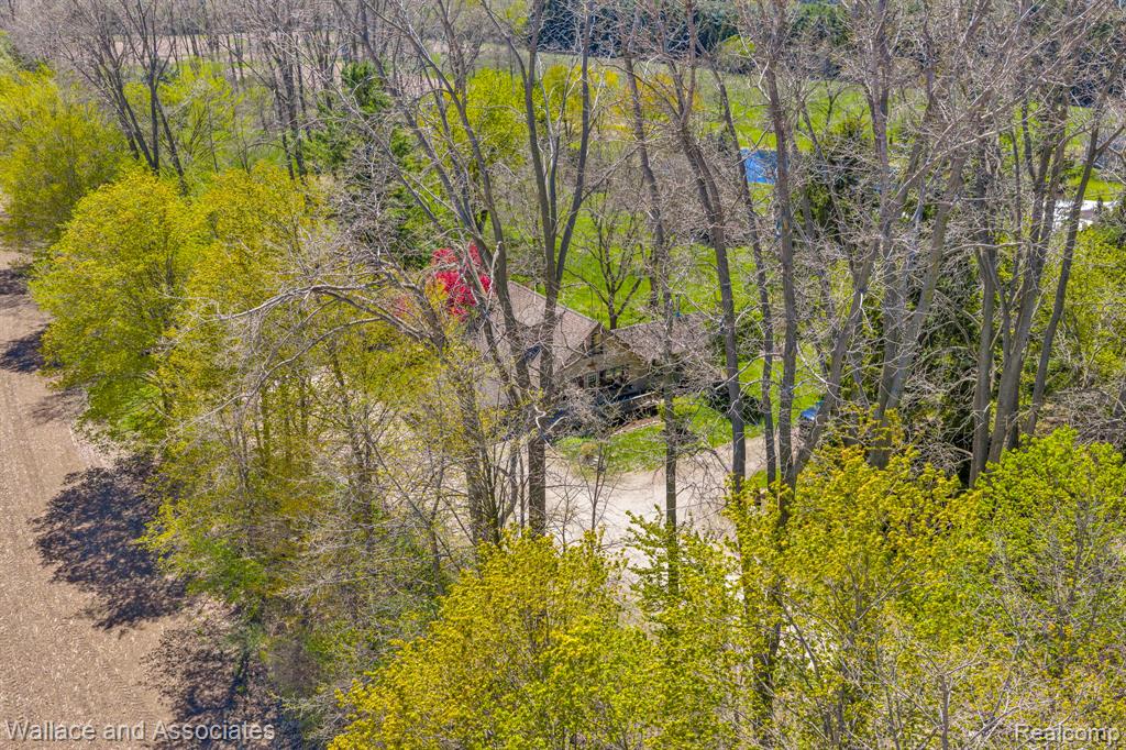 6616 Wellman Line Road, Croswell, MI 48422 — Photo 46