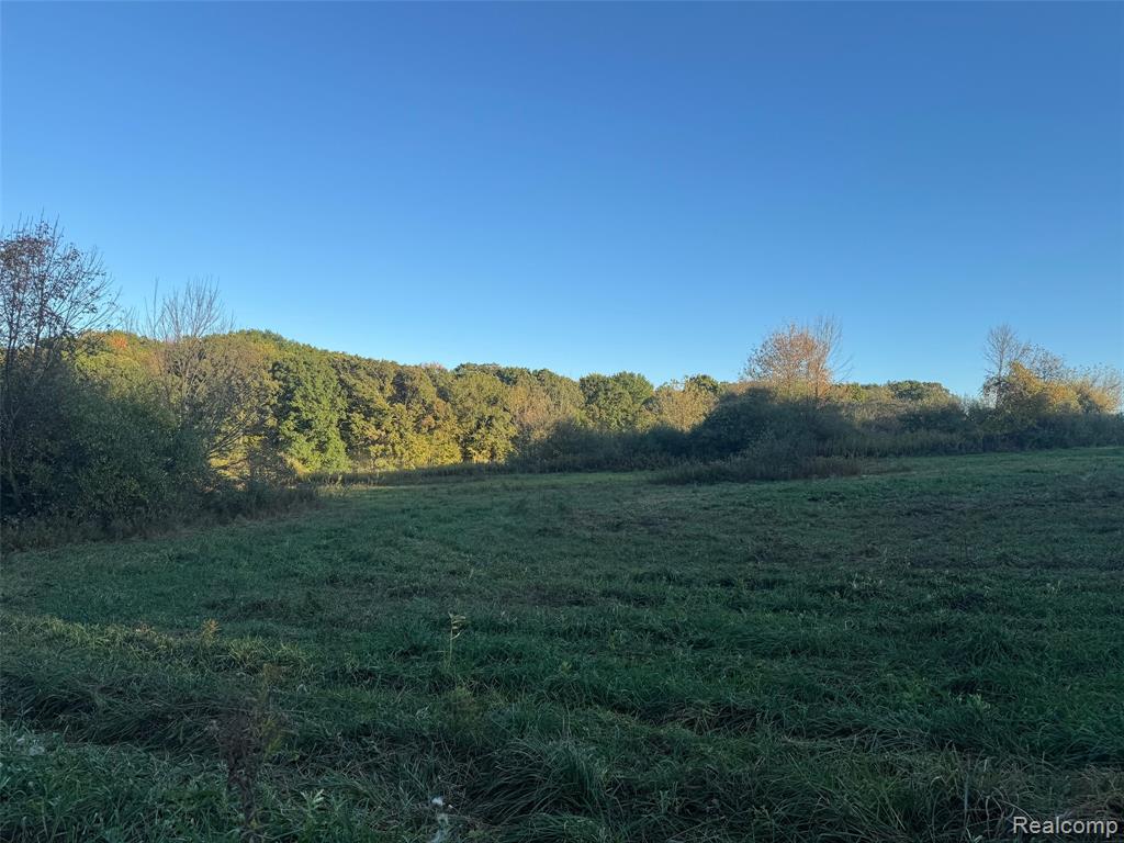 VL Rock Valley Road, Metamora, MI 48455 — Photo 13