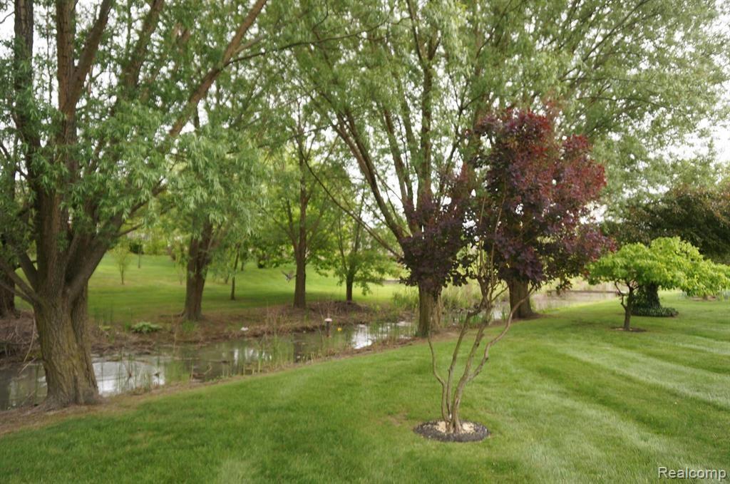 49954 Willowood Drive, Macomb, MI 48044 — Photo 31