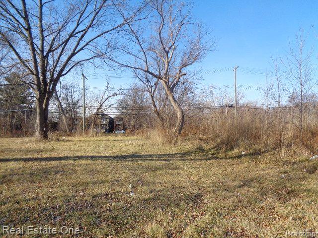 18088 PELKEY Street, Detroit, MI 48205 — Photo 10