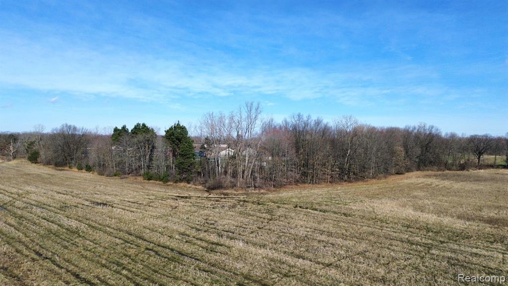 59740 HAVENRIDGE Road, New Haven, MI 48048 — Photo 5