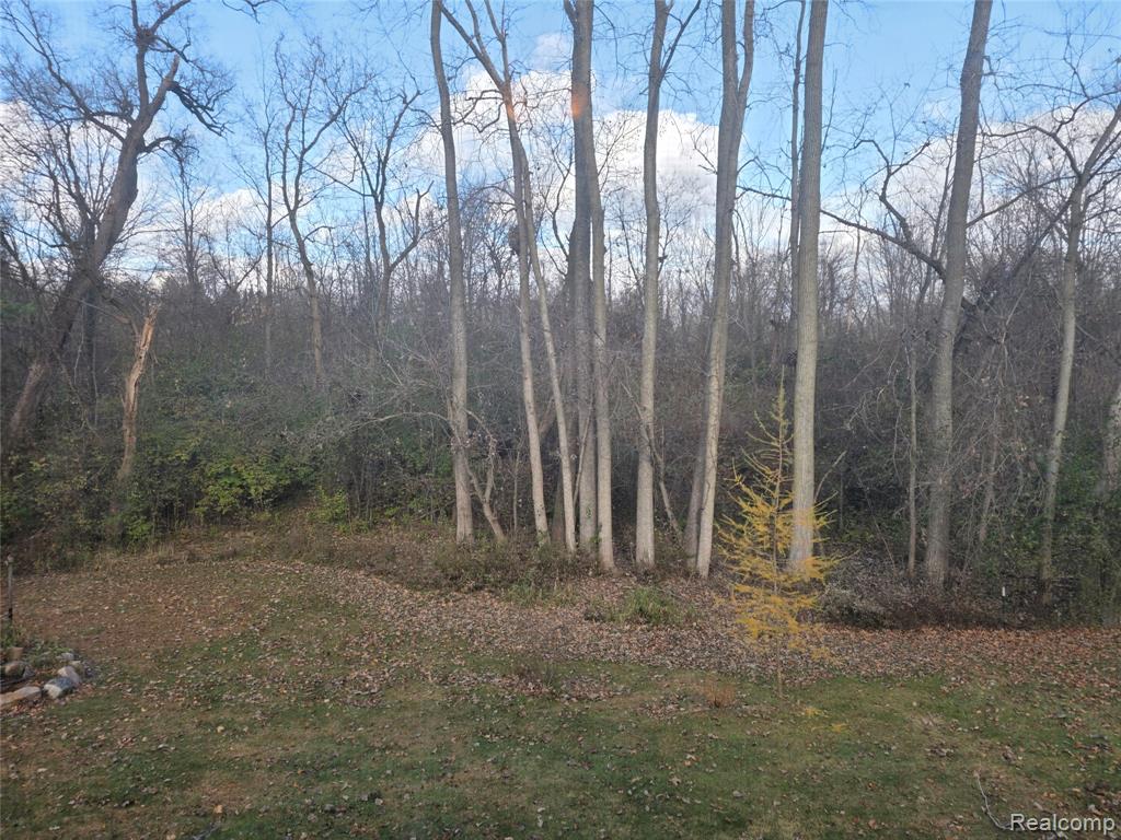 6218 Curtis Road, Plymouth, MI 48170 — Photo 32