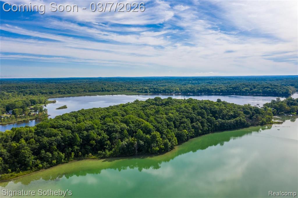 14625 Edgewater Drive, Gregory, MI 48137 — Photo 2