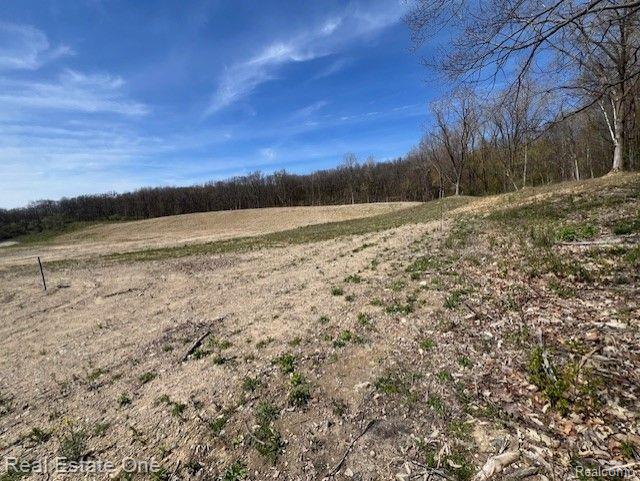 6 Park Ridge Road, White Lake, MI — Photo 23