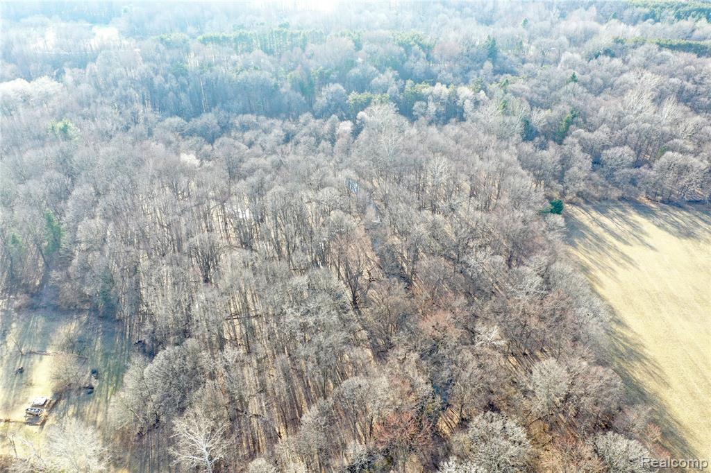3337 Marathon Road, Columbiaville, MI 48421 — Photo 27