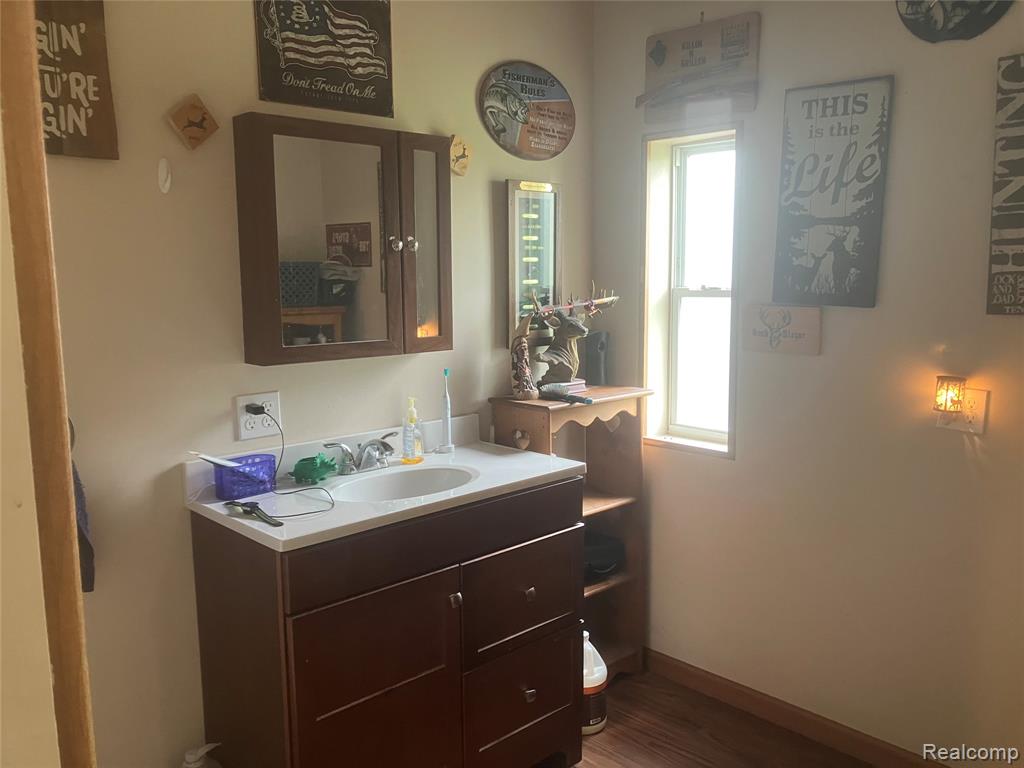 402 Katie Lane Lane, Morrice, MI 48857 — Photo 11