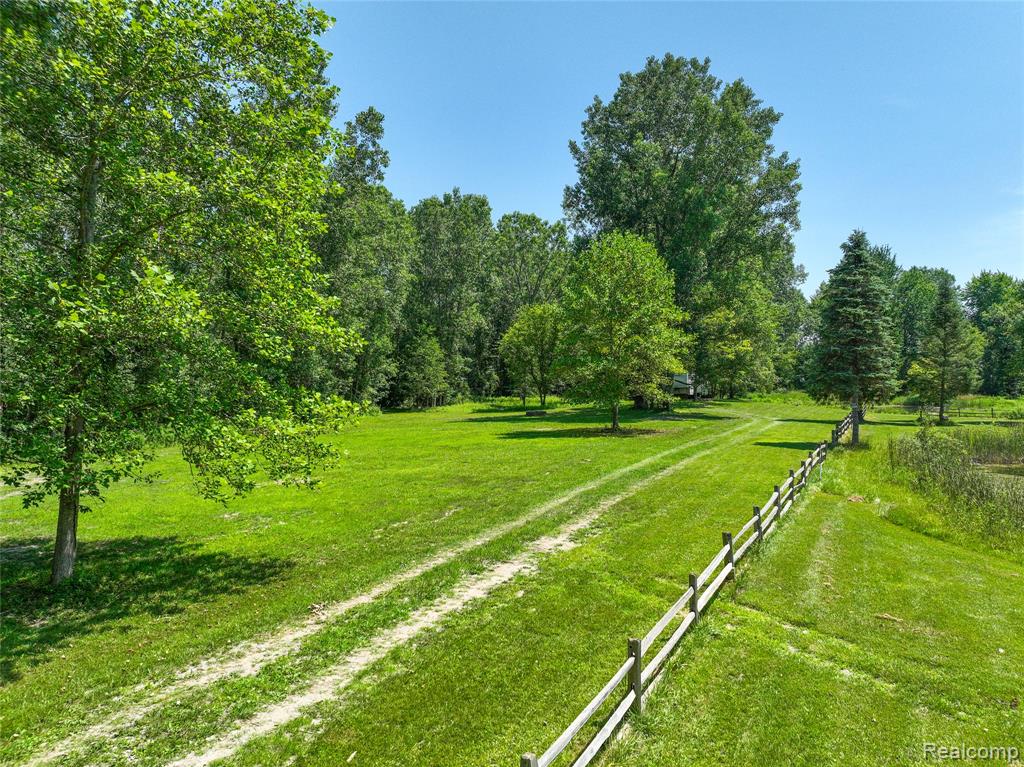 Vacant Land Nicholson Rd, Handy, MI 48836 — Photo 3