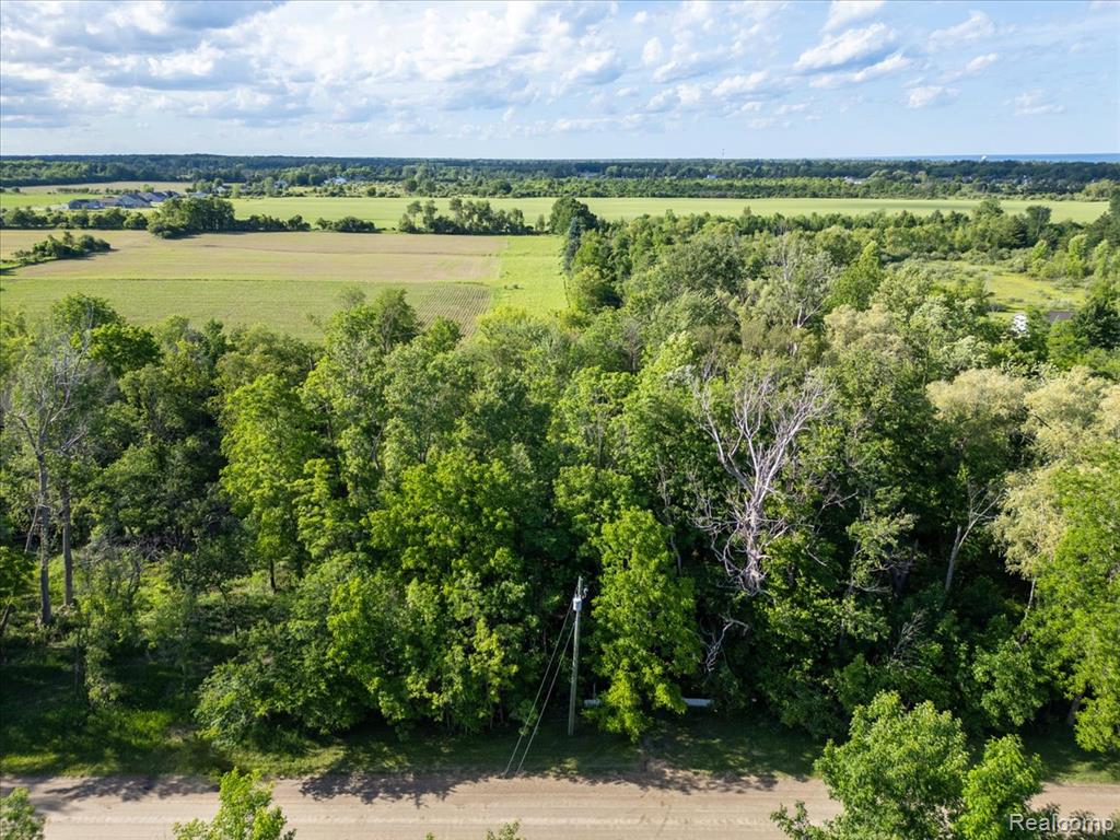 6867 Sheridan Line Road, Lexington, MI 48450 — Photo 3