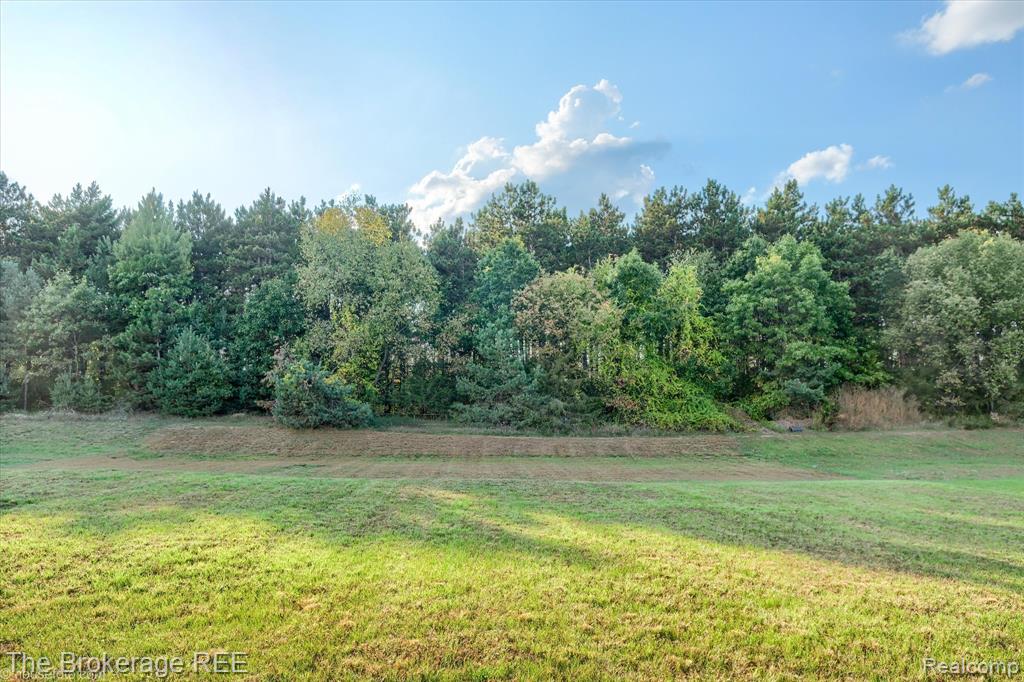 7897 Sierra Drive, Belding, MI 48809 — Photo 3