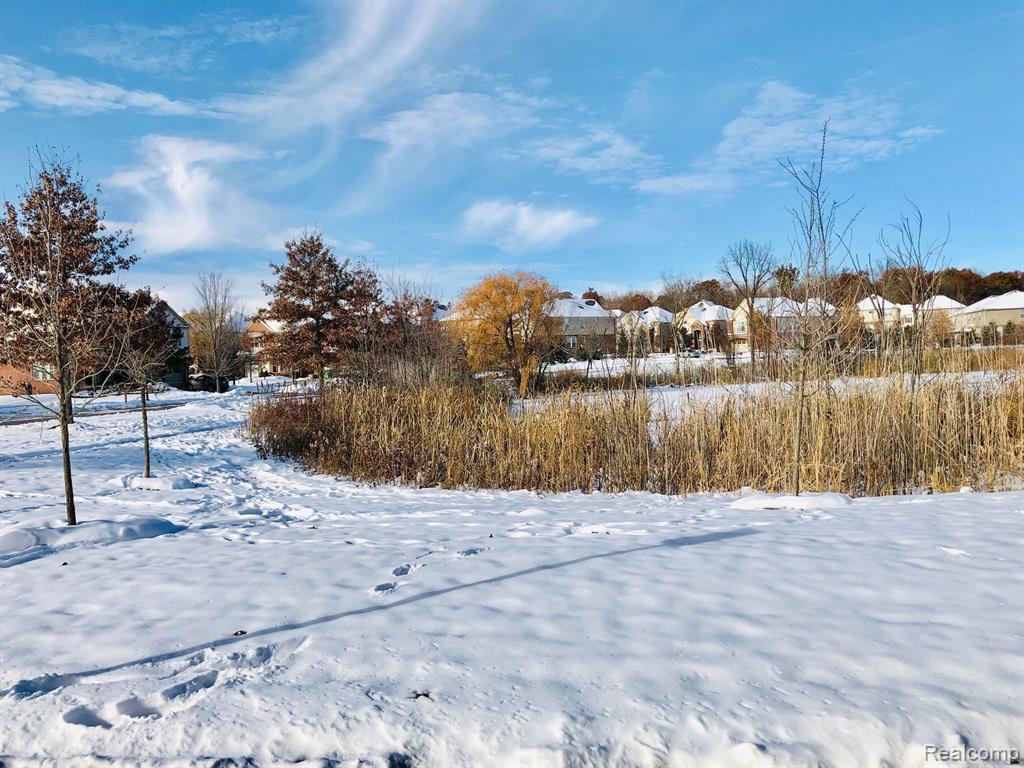 44561 GWINNETT Loop, Novi, MI — Photo 33