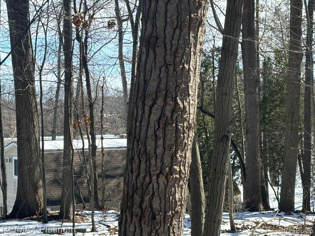 V/L TIPSICO LAKE ROAD, Holly, MI 48442 — Photo 4