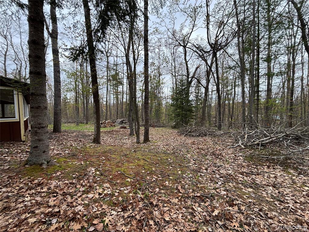 3356 Havenwood Drive, Lewiston, MI 49756 — Photo 39