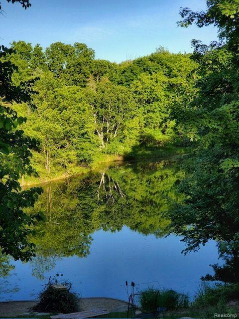 4693 Hegel Road, Goodrich Vlg, MI — Photo 42