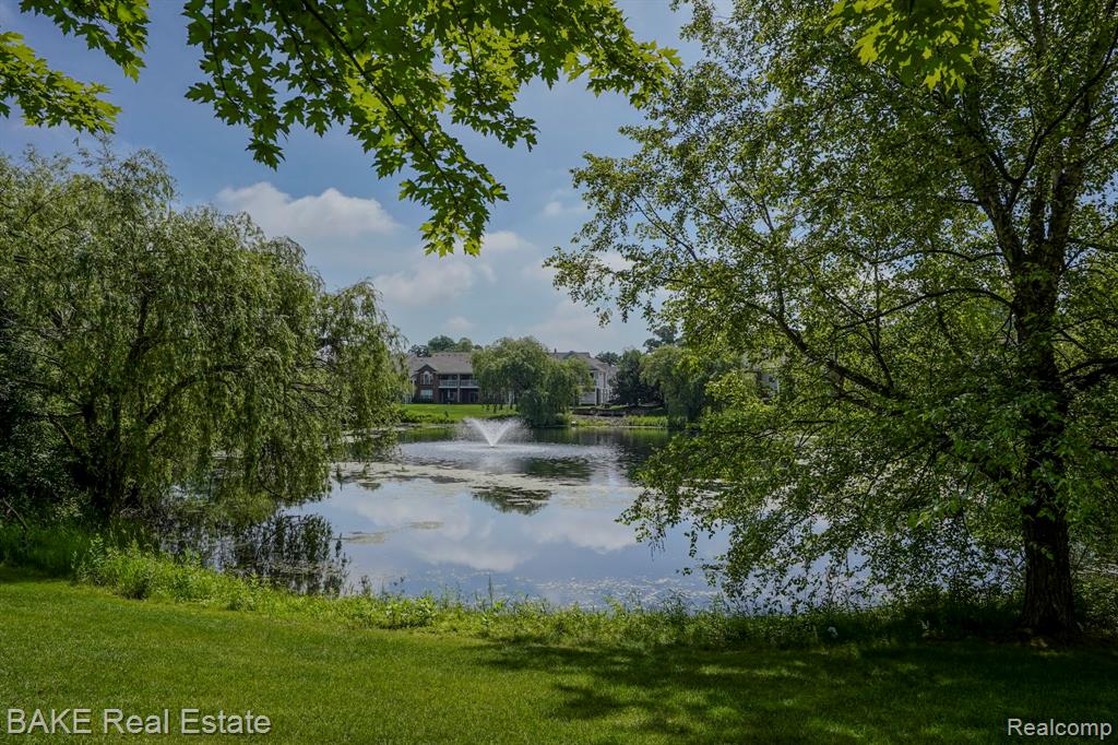 49402 N Glacier, Northville, MI 48168 — Photo 33