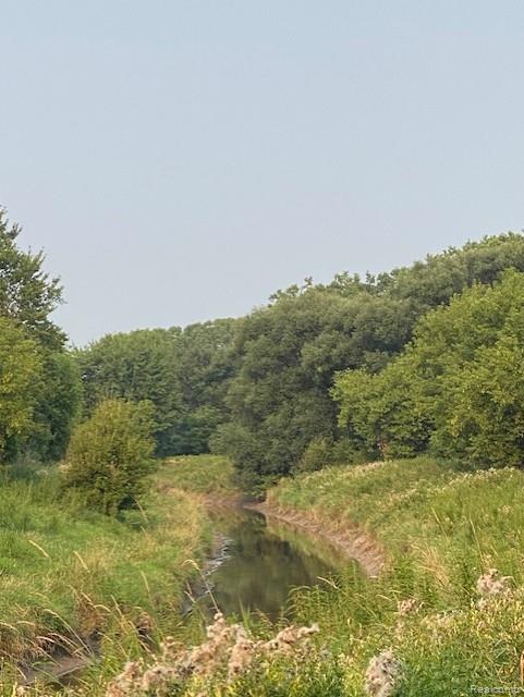 7762 Mason Road, Yale, MI 48097 — Photo 24