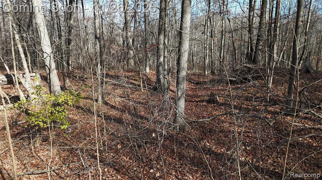 9300 Bath Road, Laingsburg, MI 48848 — Photo 13