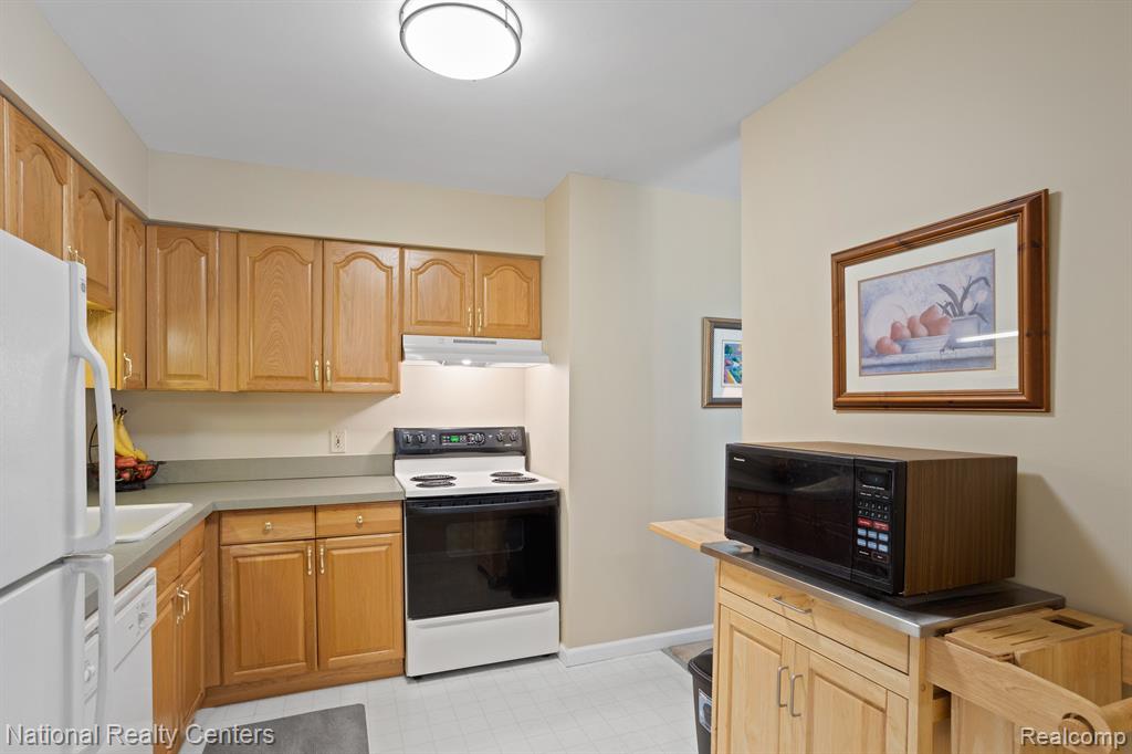 33907 PONDVIEW Circle, Livonia, MI 48152 — Photo 9