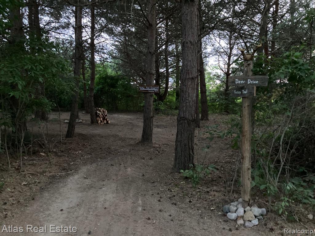 10025 Grand Blanc Road, Gaines Vlg, MI 48436 — Photo 51
