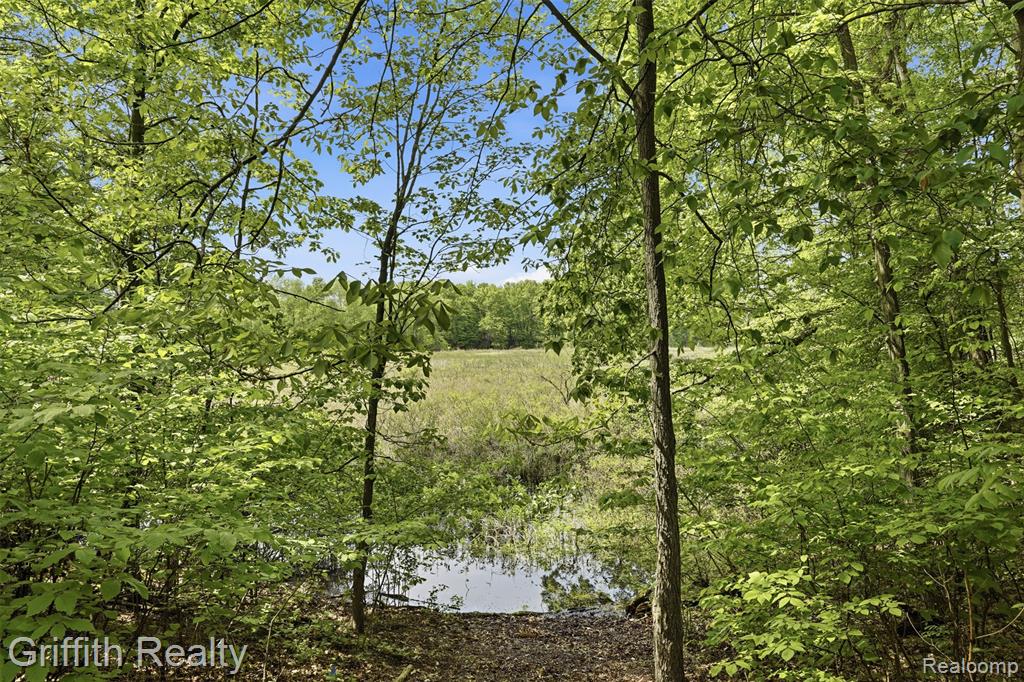 2018 Pine Hollow Trail, Brighton, MI 48114 — Photo 60