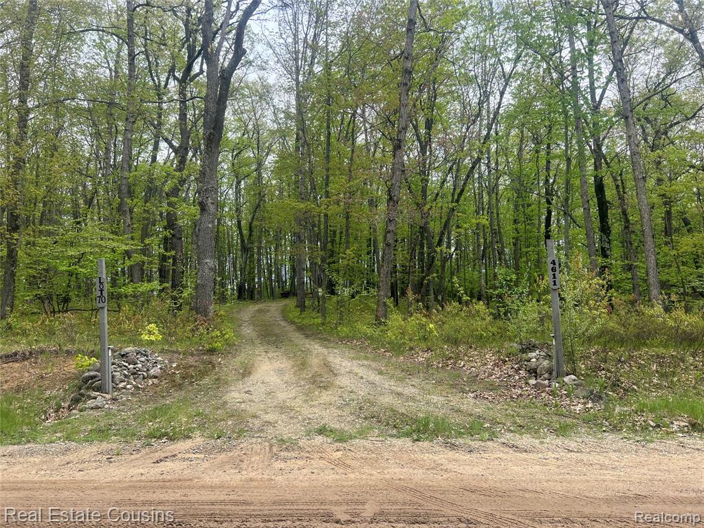 4611 Mockingbird Circle, Farwell, MI 48622 — Photo 6